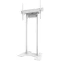 Soporte de Pared Neomounts AFP-875WH Blanco de Neomounts, Brazos y soportes - Ref: S55249951, Precio: 167,71 €, Descuento: %