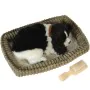 Peluche com Movimento Alexandra House Living Castanho Bege Cão 23 x 10 x 19 cm de Alexandra House Living, Animais e figuras -...