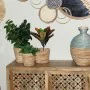 Set of Planters Alexandra House Living Brown Rattan Natural Fibre 3 Pieces by Alexandra House Living, Cachepots - Ref: D16241...