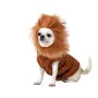 déguisement pour chien Taille S Lion de BigBuy Pets, Déguisements - Réf : S1136200, Prix : 9,09 €, Remise : %