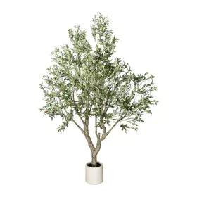 Plante décorative Romimex Plastique Olivier 180 x 250 x 180 cm de Romimex, Arbres artificiels - Réf : D1628821, Prix : 748,97...