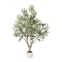 Plante décorative Romimex Plastique Olivier 180 x 250 x 180 cm de Romimex, Arbres artificiels - Réf : D1628821, Prix : 663,98...