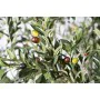 Decorative Plant Romimex Plastic Olive tree 180 x 250 x 180 cm by Romimex, Artificial Trees - Ref: D1628821, Price: 748,97 €,...