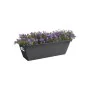 Pot Elho Noir Anthracite Plastique Rectangulaire Moderne de Elho, Pots de fleurs - Réf : S7148994, Prix : 22,87 €, Remise : %