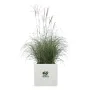 Plant pot Elho White Ø 39 cm Plastic Squared Modern by Elho, Flower Pots - Ref: S7196653, Price: 71,08 €, Discount: %