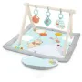 Activity centre Bright Starts WINNIE THE POOH by bright starts, Activity Centres - Ref: S7198641, Price: 84,19 €, Discount: %