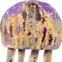 Decorative Figure Alexandra House Living Metal Jellyfish 15 x 10 x 26 cm by Alexandra House Living, Collectables - Ref: D1629...