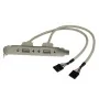 USB Cable Startech USBPLATE USB A IDC by Startech, USB adapters - Ref: S7769536, Price: 10,37 €, Discount: %