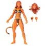 Figura de Acción Hasbro tigra de Hasbro, Muñecos y figuras de acción - Ref: S7823711, Precio: 25,71 €, Descuento: %