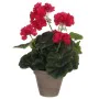 Plante décorative Mica Decorations 11,5 x 33 cm Rose PVC de Mica Decorations, Plantes artificielles - Réf : S7901874, Prix : ...