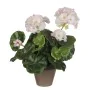 Planta Decorativa Mica Decorations PVC Gerânio (11,5 x 33 cm) de Mica Decorations, Plantas - Ref: S7901875, Preço: 15,32 €, D...