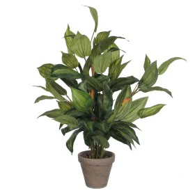 Pianta Decorativa Mica Decorations Hosta Verde PVC (15,5 x 65 cm) di Mica Decorations, Piante artificiali - Rif: S7901879, Pr...