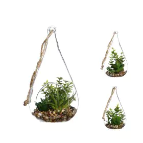 Plante décorative Atmosphera 10 x 19,5 cm Verre Vert de Atmosphera, Plantes artificielles - Réf : S7902144, Prix : 9,18 €, Re...