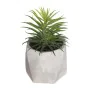 Plante décorative Atmosphera 7 x 14 cm Vert PVC de Atmosphera, Plantes artificielles - Réf : S7902145, Prix : 6,81 €, Remise : %