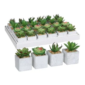 Plante décorative Mica Decorations 8 x 5 cm Vert PVC Succulent de Mica Decorations, Plantes artificielles - Réf : S7902757, P...