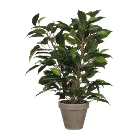 Planta Decorativa Mica Decorations 40 x 30 cm Cerámica Verde PVC Ficus de Mica Decorations, Plantas - Ref: S7902762, Precio: ...