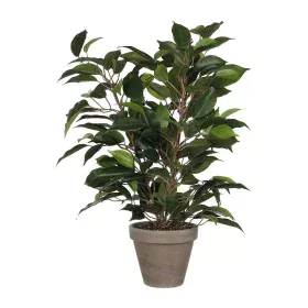 Decorative Plant Mica Decorations 40 x 30 cm Ceramic Green PVC Fig Tree by Mica Decorations, Artificial Plants - Ref: S790276...