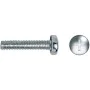 Box of screws CELO 5 x 30 mm M5 x 30 mm Metric screw thread 250 Units Galvanised by CELO, Screws - Ref: S7903138, Price: 21,1...