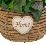 Flores Decorativas Alexandra House Living Multicolor 25 x 36 x 31 cm de Alexandra House Living, Arranjos florais - Ref: D1630...