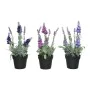 Plante décorative 25 cm PVC Lavande de BigBuy Garden, Plantes artificielles - Réf : S7904402, Prix : 11,35 €, Remise : %