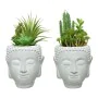 Planta Decorativa PVC Cerâmica Suculenta de BigBuy Garden, Plantas - Ref: S7904406, Preço: 18,90 €, Desconto: %