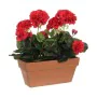 Plante décorative Mica Decorations Céramique Rouge PVC (29 x 13 x 40 cm) de Mica Decorations, Plantes artificielles - Réf : S...