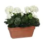 Decorative Plant Mica Decorations Ceramic White Yellow PVC Geranium (29 x 13 x 40 cm) by Mica Decorations, Artificial Plants ...