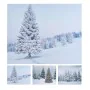 Quadro 50 X 1,5 X 40 CM Acrilico (12 Pezzi) di BigBuy Christmas, Fotografie - Rif: S7905395, Prezzo: 15,97 €, Sconto: %