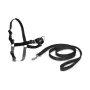 Arnés para Mascotas PetSafe Easy Walk Negro Medianav (M) de PetSafe, Arneses - Ref: S7906739, Precio: 19,34 €, Descuento: %