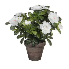 Planta Decorativa Mica Decorations 11,5 x 27 x 20 cm de Mica Decorations, Plantas - Ref: S7908171, Preço: 13,93 €, Desconto: %