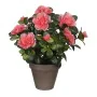 Planta Decorativa Mica Decorations 11,5 x 27 x 20 cm de Mica Decorations, Plantas - Ref: S7908172, Preço: 13,92 €, Desconto: %