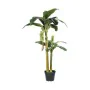 Plante décorative Mica Decorations (115 x 180 cm) de Mica Decorations, Plantes artificielles - Réf : S7908489, Prix : 207,48 ...