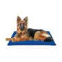 Tapis pour chien Nayeco Bleu Gel réfrigérant 90 x 105 cm de Nayeco, Couches et tapis hygiéniques - Réf : S7908719, Prix : 31,...