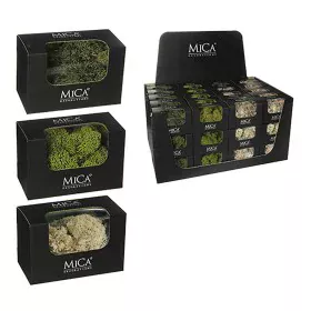 Planta Decorativa Mica Decorations 50 g Musgo de Mica Decorations, Plantas - Ref: S7909237, Precio: 6,28 €, Descuento: %