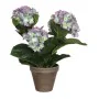 Pianta Decorativa Mica Decorations Magnolia 35 x 40 cm di Mica Decorations, Piante artificiali - Rif: S7909247, Prezzo: 27,88...