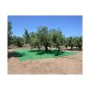 Lona de Protección Verde Polipropileno (7 x 14 m) de BigBuy Garden, Lonas - Ref: S7910504, Precio: 91,09 €, Descuento: %