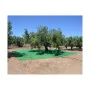 Lona de Protección Verde Polipropileno (5 x 8 m) de BigBuy Garden, Lonas - Ref: S7910510, Precio: 38,43 €, Descuento: %