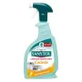 aspiratore Sanytol Disinfettante Sgrassante (750 ml) di Sanytol, Detergenti multiuso - Rif: S7910966, Prezzo: 7,55 €, Sconto: %