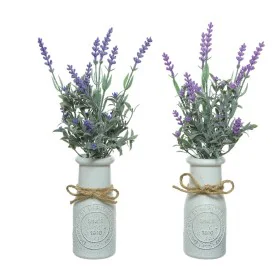 Planta Decorativa Everlands Maceta Lavanda (Ø 13 x 32 cm) de Everlands, Plantas - Ref: S7911109, Precio: 10,96 €, Descuento: %