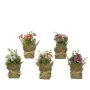 Decorative Plant Ø 7 x 17 cm by Everlands, Artificial Plants - Ref: S7911110, Price: 6,04 €, Discount: %