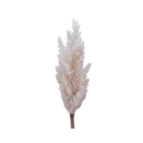 Planta Decorativa Everlands Pampa (Ø 9 x 90 cm) de Everlands, Plantas - Ref: S7912981, Preço: 10,22 €, Desconto: %