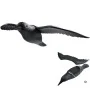 Afugentador EDM Pássaros 57 cm Polipropileno de EDM, Controlo de aves - Ref: S7917257, Preço: 11,79 €, Desconto: %