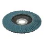 disque abrasif Wolfcraft Ø 115 mm de Wolfcraft, Roues et disques abrasifs - Réf : S7917558, Prix : 6,13 €, Remise : %