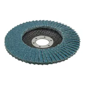 Grinding Disc Wolfcraft Ø 115 mm by Wolfcraft, Abrasive wheels and discs - Ref: S7917558, Price: 6,13 €, Discount: %