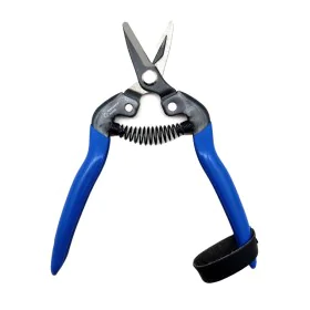 Garden Scissors Manzana-Nules tico-m100 Fruit and vegetable harvesting by Manzana-Nules, Secateurs & Pruning Scissors - Ref: ...