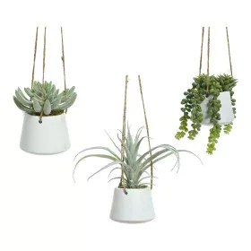 Planta Decorativa 800073 Suculenta 20 cm Para colgar Artificial de BigBuy Home, Plantas - Ref: S7922400, Precio: 17,18 €, Des...