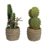 Pianta Decorativa EDM 808447 Cactus 28 cm di EDM, Piante artificiali - Rif: S7922407, Prezzo: 13,24 €, Sconto: %