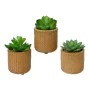 Decorative Plant EDM 898158 10 cm Succulent by EDM, Artificial Plants - Ref: S7922412, Price: 6,50 €, Discount: %