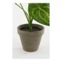 Pianta Decorativa Mica Decorations Caladium Ø 21 x 28 cm Artificiale di Mica Decorations, Piante artificiali - Rif: S7923238,...