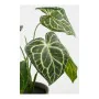 Plante décorative Mica Decorations Caladium Ø 21 x 28 cm Artificielle de Mica Decorations, Plantes artificielles - Réf : S792...